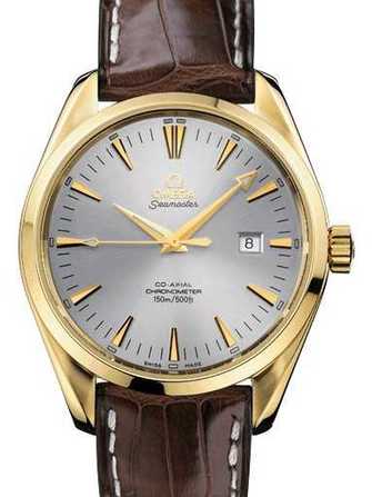 Omega Seamaster Aqua terra big size chronometer 2602.30.37 Watch - 2602.30.37-1.jpg - blink
