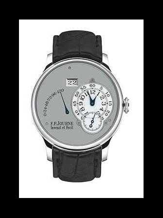 Montre F.P. Journe Octa Reserve de marche FP33 - fp33-1.jpg - blink