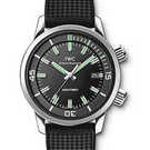 IWC Vintage collection IW323101 腕表 - iw323101-1.jpg - blink