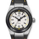 IWC Ingenieur Climate Action IW323402 腕時計 - iw323402-1.jpg - blink