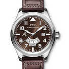 IWC Aviateur Classics Antoine de St Exupery IW326102 Watch - iw326102-1.jpg - blink