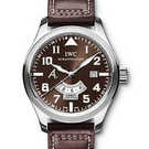 Reloj IWC Aviateur Classics Antoine de St Exupery IW326102 - iw326102-1.jpg - blink