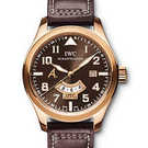 นาฬิกา IWC Aviateur Classics Antoine de St Exupery IW326103 - iw326103-1.jpg - blink