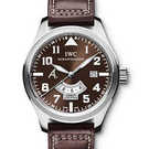 นาฬิกา IWC Aviateur Classics Antoine de St Exupery IW326104 - iw326104-1.jpg - blink