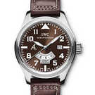 IWC Aviateur Classics Antoine de St Exupery IW326104 腕時計 - iw326104-1.jpg - blink