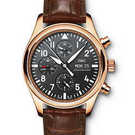 นาฬิกา IWC Aviateur Classics IW371713 - iw371713-1.jpg - blink