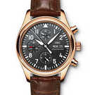 IWC Aviateur Classics IW371713 腕表 - iw371713-1.jpg - blink