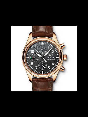นาฬิกา IWC Aviateur Classics IW371713 - iw371713-1.jpg - blink