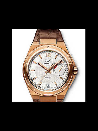 IWC Ingenieur IW500503 腕表 - iw500503-1.jpg - blink