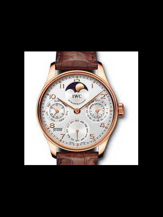 Montre IWC Portugaise IW502213 - iw502213-1.jpg - blink