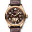 Reloj IWC Aviateur Classics Antoine de St Exupery IW326103 - iw326103-1.jpg - blink
