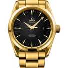 Omega Seamaster Aqua terra mid size chronometer 2104.50.00 腕時計 - 2104.50.00-1.jpg - blink