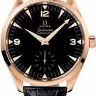Omega Seamaster Railmaster xxl chronometer 221.53.49.10.01.001 Watch - 221.53.49.10.01.001-1.jpg - blink