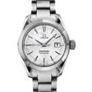 Omega Seamaster Aqua terra automatic 2573.70.00 腕表 - 2573.70.00-1.jpg - blink