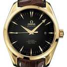 Omega Seamaster Aqua terra big size chronometer 2602.50.37 Watch - 2602.50.37-1.jpg - blink