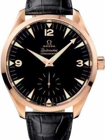 Omega Seamaster Railmaster xxl chronometer 221.53.49.10.01.001 腕時計 - 221.53.49.10.01.001-1.jpg - blink