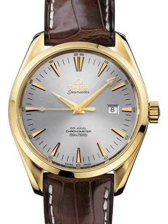 Omega Seamaster Aqua terra big size chronometer 2602.30.37 腕時計 - 2602.30.37-1.jpg - blink