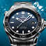 Omega Seamaster Diver 300 M CO-AXIAL 212.30.41.20.01.003 Uhr - 212.30.41.20.01.003-2.jpg - blink