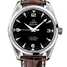 Omega Seamaster Railmaster chronometer 2803.52.37 Watch - 2803.52.37-1.jpg - blink