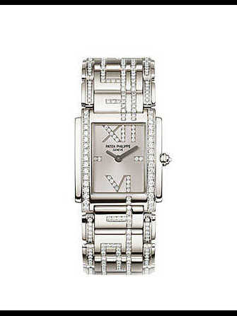 Montre Patek Philippe Twenty4r  haute joaillerie 4910/48G-001 - 4910-48g-001-1.jpg - blink