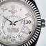 Rolex Sky-Dweller 326939 Uhr - 326939-3.jpg - blink