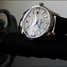 Seiko Grand Seiko GMT SBGM003 Watch - sbgm003-4.jpg - blink