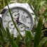 Rolex Cosmograph Daytona 116520 Watch - 116520-5.jpg - evil-oob