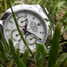 Rolex Cosmograph Daytona 116520 腕時計 - 116520-5.jpg - evil-oob