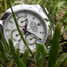 Rolex Cosmograph Daytona 116520 Uhr - 116520-5.jpg - evil-oob