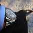 Rolex Cosmograph Daytona 116520 腕時計 - 116520-8.jpg - kmrol