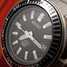 Seiko Samurai Titanium SBDA001 Uhr - sbda001-5.jpg - lameugne