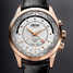 Vulcain Aviator GMT 2009 - Gold 100535.221L Watch - 100535.221l-1.jpg - lorenzaccio