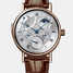 Breguet Classique complications 5447 5447BR/1E/9V6 腕表 - 5447br-1e-9v6-1.jpg - mier