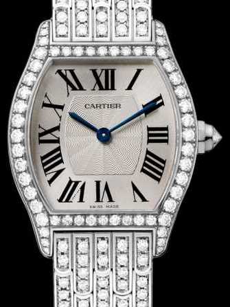Cartier Tortue HPI00778 腕表 - hpi00778-1.jpg - mier