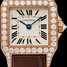 Cartier Santos Demoiselle WF902004 腕表 - wf902004-1.jpg - mier