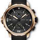 Montre IWC Aquatimer Chronograph Edition «Expedition Charles Darwin» IW379503 - iw379503-1.jpg - mier