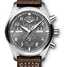 Montre IWC Pilot's Watch Perpetual Calendar Digital Date-Month Spitfire IW379108 - iw379108-1.jpg - mier