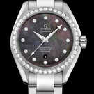 Omega Seamaster Aqua Terra 150 M 231.15.34.20.57.001 Watch - 231.15.34.20.57.001-1.jpg - mier