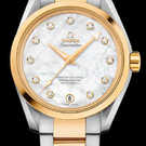 Omega Seamaster Aqua Terra 150 M 231.20.39.21.55.004 Watch - 231.20.39.21.55.004-1.jpg - mier