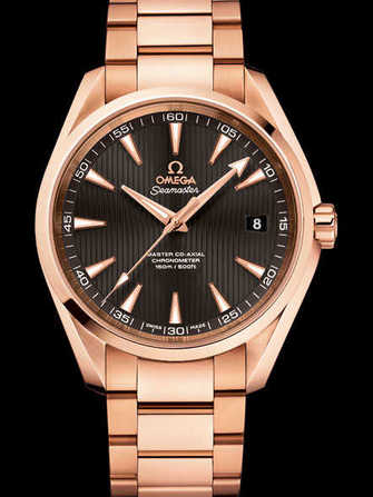 Omega Seamaster Aqua Terra 150 M 231.50.42.21.06.002 腕時計 - 231.50.42.21.06.002-1.jpg - mier