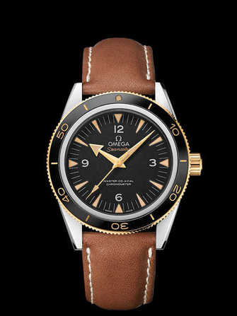 Omega Seamaster 300 Omega Master Co-Axial 233.22.41.21.01.001 Watch - 233.22.41.21.01.001-1.jpg - mier