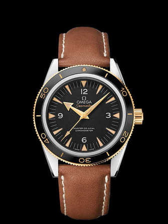 Omega Seamaster 300 Omega Master Co-Axial 233.22.41.21.01.001 腕時計 - 233.22.41.21.01.001-1.jpg - mier