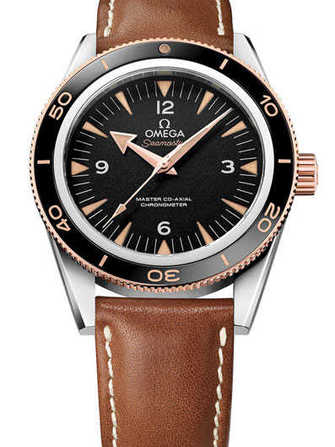 นาฬิกา Omega Seamaster 300 Omega Master Co-Axial 233.22.41.21.01.002 - 233.22.41.21.01.002-1.jpg - mier