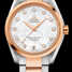 Montre Omega Seamaster Aqua Terra 150 M 231.20.39.21.55.003 - 231.20.39.21.55.003-1.jpg - mier