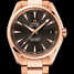 Omega Seamaster Aqua Terra 150 M 231.50.42.21.06.002 Watch - 231.50.42.21.06.002-1.jpg - mier