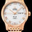 Omega De Ville 431.50.41.22.02.001 腕時計 - 431.50.41.22.02.001-1.jpg - mier