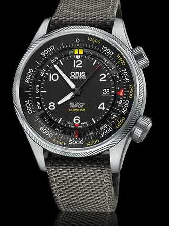 Oris Oris Big Crown ProPilot Altimeter with Feet Scale 01 733 7705 4134-Set 5 23 17FC Uhr - 01-733-7705-4134-set-5-23-17fc-1.jpg - mier