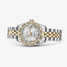 Rolex Lady-Datejust 26 179313 腕時計 - 179313-2.jpg - mier