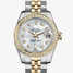 Rolex Lady-Datejust 26 179383-yellow gold & diamonds 腕表 - 179383-yellow-gold-diamonds-1.jpg - mier