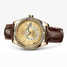 Rolex Sky-Dweller 326138-champagne Watch - 326138-champagne-2.jpg - mier